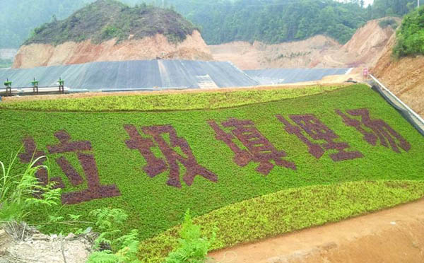 hdpe草莓视频在线观看下载
