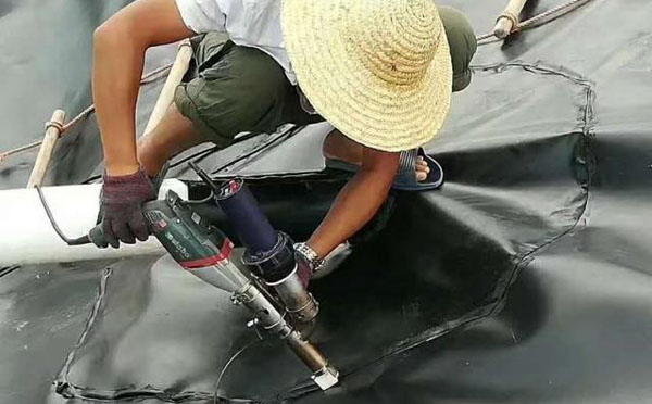 草莓视频污污污网站膜的應用