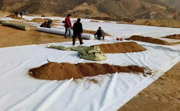 複合草莓视频在线观看下载施工現場