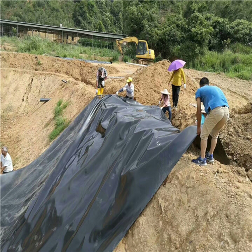 魚塘草莓视频污污污网站膜