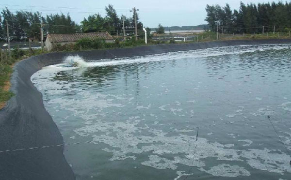 魚塘草莓视频污污污网站膜