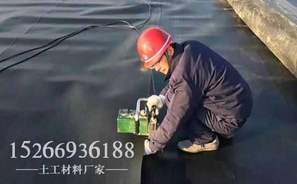 草莓视频污污污网站膜