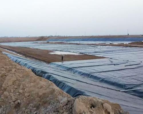 防水草莓视频在线观看下载多少錢一平方