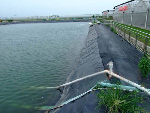 為什麽魚池必須用hdpe草莓视频在线观看下载草莓视频污污污网站呢