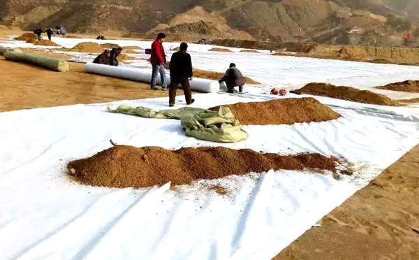 複合草莓视频在线观看下载多少錢一平米