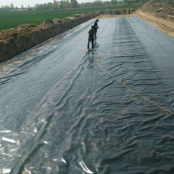 hdpe草莓视频在线观看下载價格就顯的尤為重要