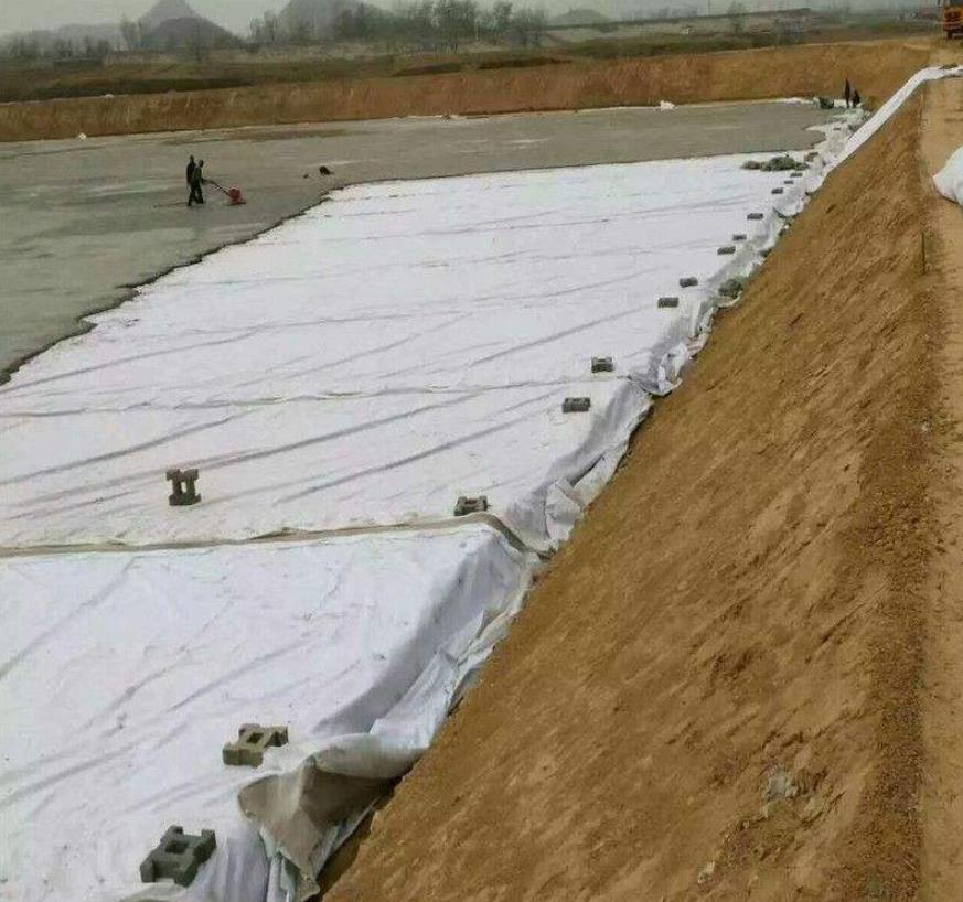 複合草莓视频在线观看下载施工技術要求